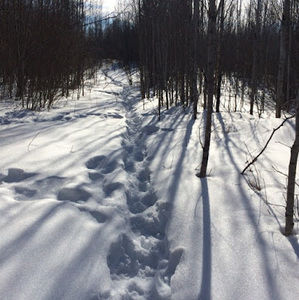 Meet your Posher, Gloria